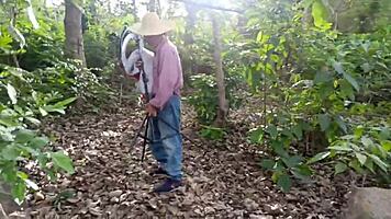 Dirty old decrepit man fucks his own busty stepdaughter in the jungle