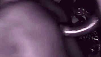 This Guy Has No Chill