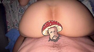 Seasonal compilation gift