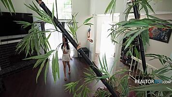 Housewarming heats up with familiar sex