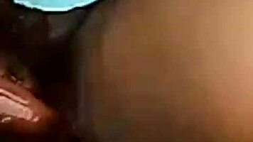 festa da pisssa compilation