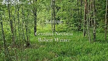 Fucked in the mouth tied to the tree girl in the forest 😈