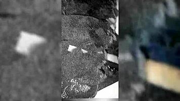 Intense lingerie gift followed by ass offering