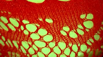 Hot stepsister part 1 big ass