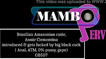 Brazilian Amazonian Cutie Annie Clementina's Anal Atm Pussy Gape Dirty Talk Alt Interview Ob507