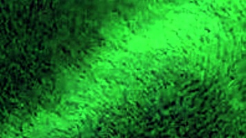 Kendra Heart in passionate breeding scene part 1