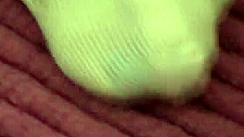 jenny welch dances a lap dance in pantyhose, boyfriend rips them off