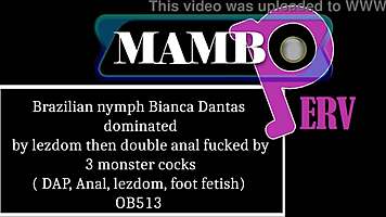 Brazilian nymph dominated then double anal fucked