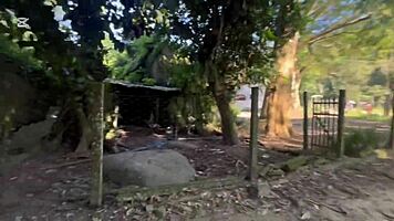 Deusa De Ébano Dando A Bucetinha Em Público Na Cachoeira