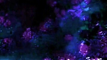 Anne Bonny and Jack Sparrow Cosplay Fuck After Festival Party