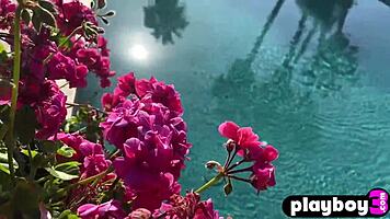 Hot black babe ana foxxx poses lingerie by pool, masturbates perfectly 😍