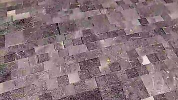 sexo por dinero lets me grope her tits publicly wild