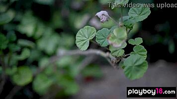 Passionate Skinny Asian Teen 18+ Lily Andrews Strips Naked Poolside Showing Natural Big Tits