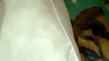 huge black cock interrupts latina netflix again pounds her senseless