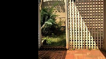 Huge boobs pregnant ebony babe teases natural tits solo.