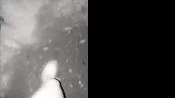 Petite Latina Elf Bunny Masturbates in Panties