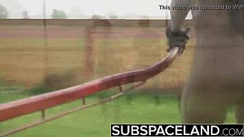 bound babe slapped hard in wet towel submission ritual