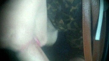 Risky Bus Blowjob Flash!