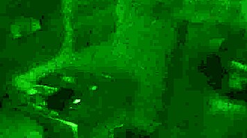 jiji gold shakes her sexy teen ass in hot twerk session