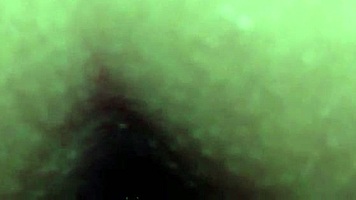 Pov Tight Anal Doggystyle Bent Over Cumshot