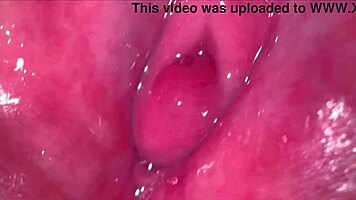 amateur shaved pussy close-up 269 days post virginity 😍