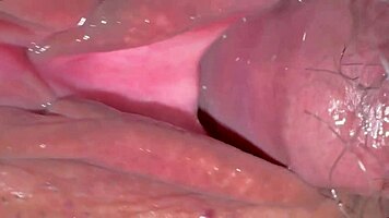 A shy virgin spreads for cock tasting at christmas with wet pussy licks first