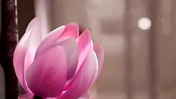 big tit loba rubs shaved pussy 😍 morrigan shakes huge boobs blackfire fingers stepsis tight hole 💦🍑