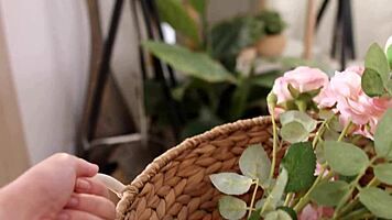 😍 check out these steamy clips featuring cute teen babes getting wild cowgirl rides and creampies!