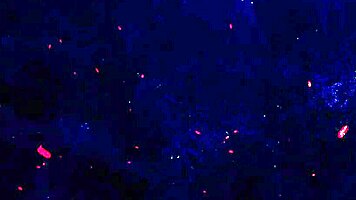 Lore's Daring Double Huge Black Cock Anal Thrill