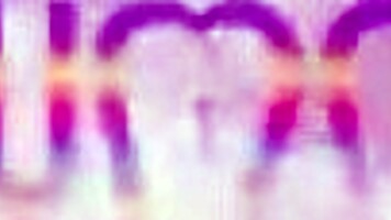 cute brazilian bruna santos jasminy villar double anal fisting swallow big loads