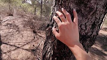 Strangers catch me in woods for hard anonymous fuck i end up loving