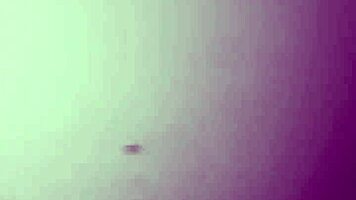 young curvy mexican milf gets anal creampie big ass fucked deep