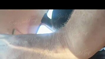 yo this latina teen blows tourist cock sloppy in driving car