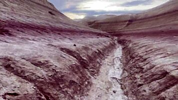 Blonde Hiker Fucked Hard in Nature Trail POV
