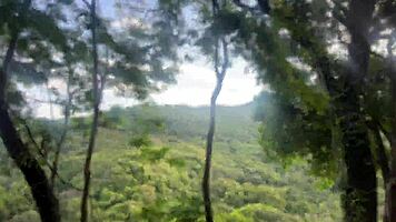Wild jungle fuck with best friend's monster cock outdoors!