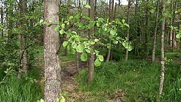 blonde teen sluts lost in forest take double penetration from two monster cocks!
