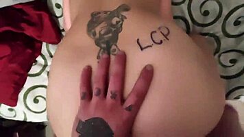 rex holes pounds slut's ass in rough doggystyle closeup