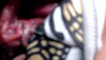 hot wet petite 18+ pussy spread extremely close-up in homemade extreme fetish play