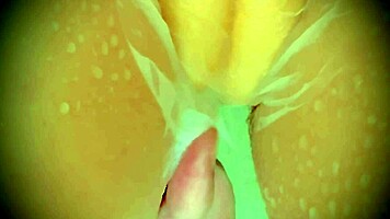 20yo virgin pussy lights up wet tissue