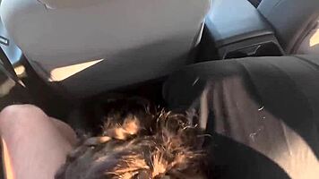 teen tinder date gives sloppy head in car