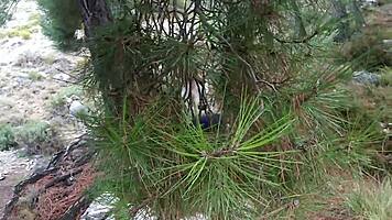 Sex In Mountains With Big Ass Brunette Outdoors
