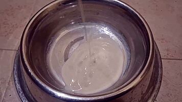 Cute trans girl drinks huge load after sucking