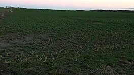 ¡Estudiante alemana follada duro por ayuda de Hunter!