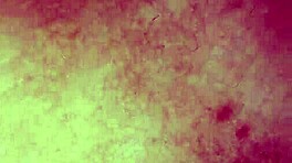 Тугая жопа этой студентки была потрясающей для траха