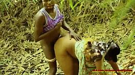 Uau! BBW africana, filha cega do rei, se perde e leva BBC no mato!