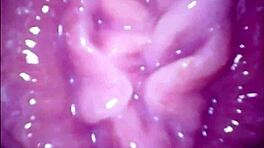 ساخن جداً! فتيات آسيويات مراهقات من اليابان والهند يصبحن جامحات!