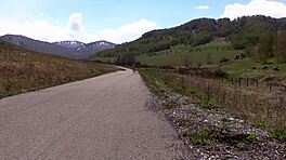 러시아 도로 공개 장소 큰 엉덩이 털난 보지 알몸 걸으며 생 전시증 페티시 컴필레이션