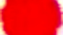 mature married lady craves young boy's endless desire