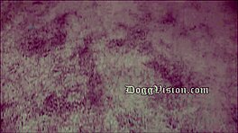 extended version - world record loudest orgasm shocks everyone