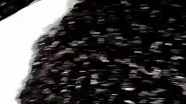 Adult teenagers take it wrong during a crazy gruppensex session